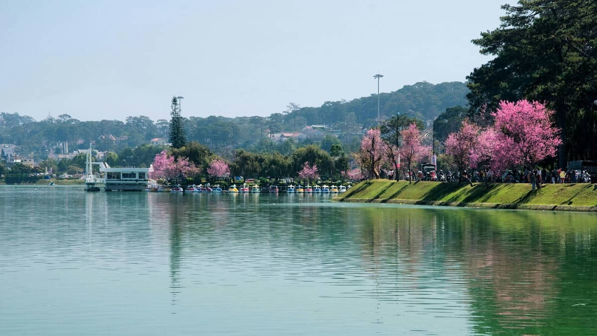 Dalat: The Romantic Highlands